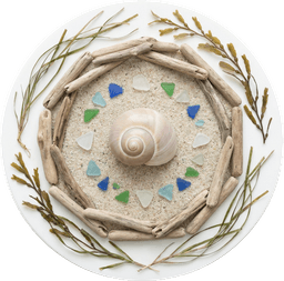 Product photography icon